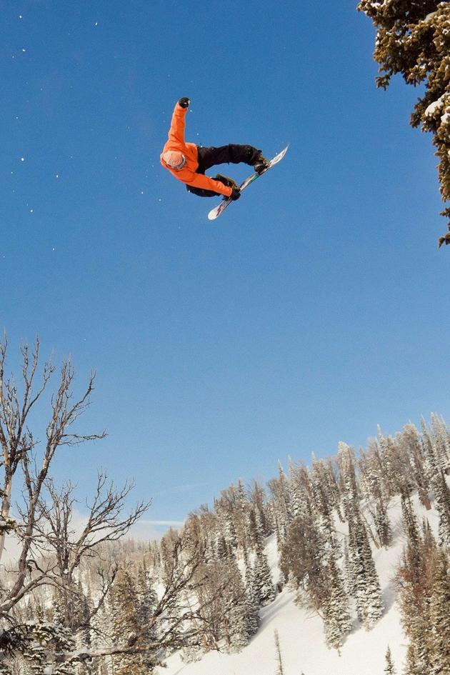 The Art of Flight