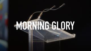 Morning Glory
