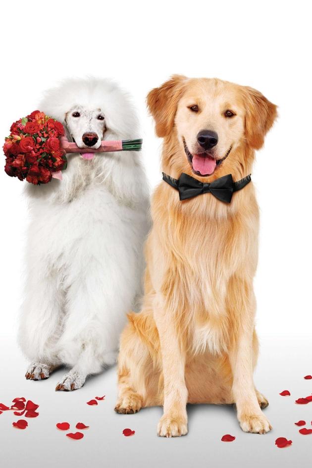 A Christmas Wedding Tail