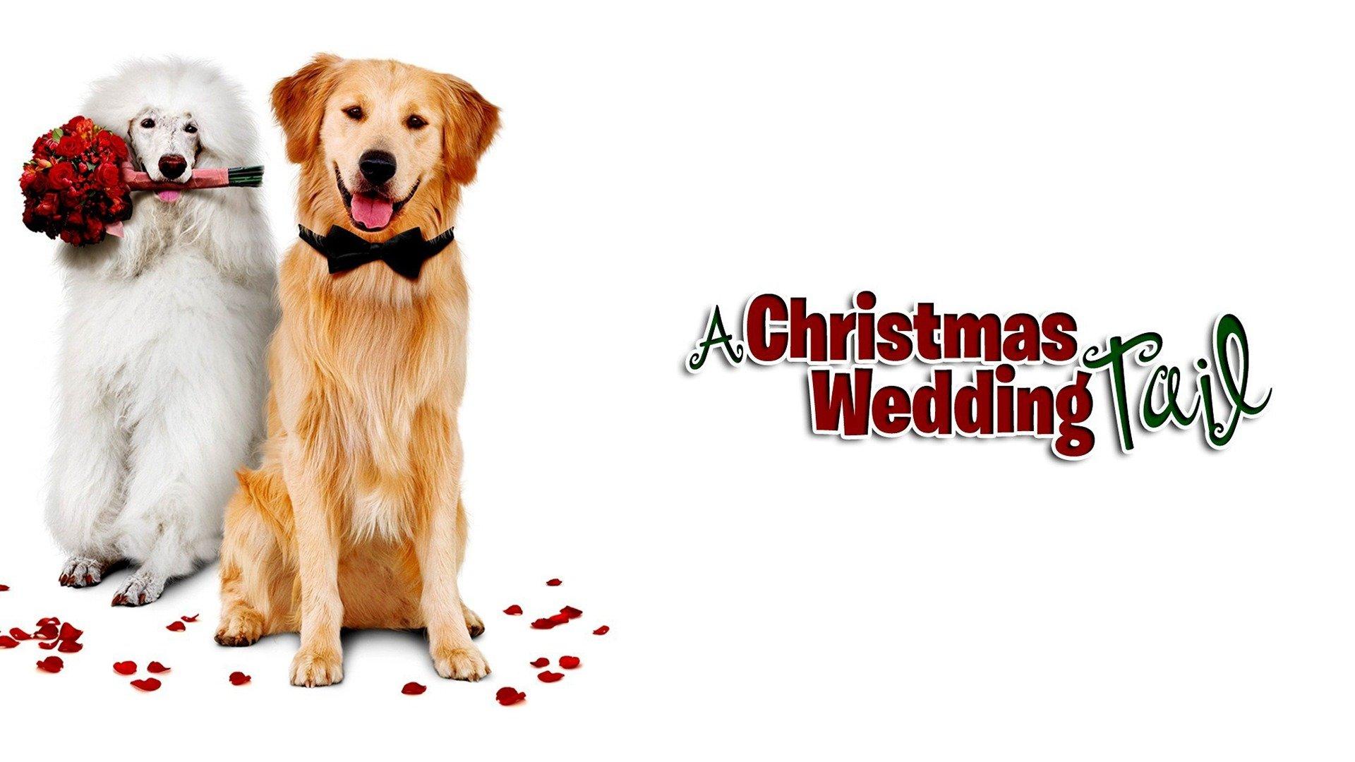 Watch A Christmas Wedding Tail Streaming Online on Philo (Free Trial)