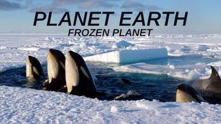 Planet Earth: Frozen Planet