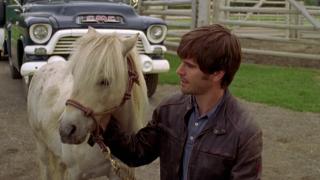 Heartland