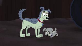 The K9 Kid