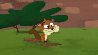 The Call of the Squirrel Dog
