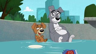 I Never Barked for My Father