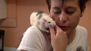 Rats!