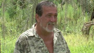 Stormin' Gators