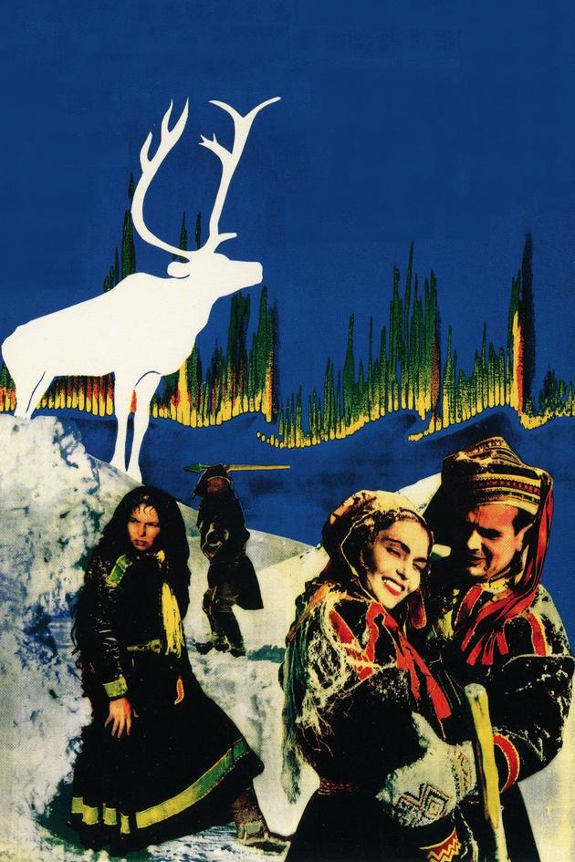 The White Reindeer