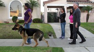 Dog Whisperer