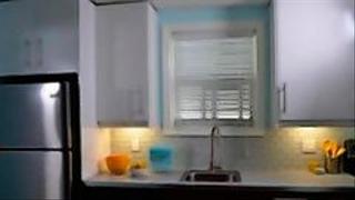 Shotgun Reno Shotgun Reno