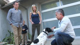 Dog Whisperer
