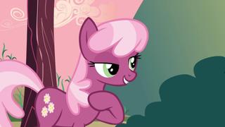 Hearts and Hooves Day