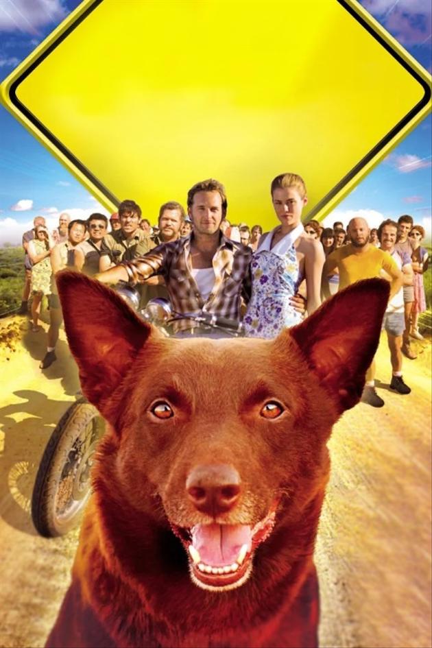 Red Dog