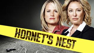 Hornet's Nest
