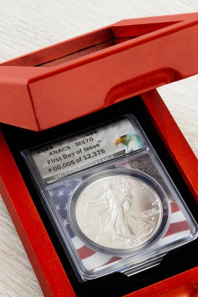 Coin Collector