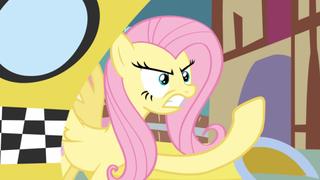Putting Your Hoof Down
