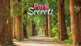 Park Secrets