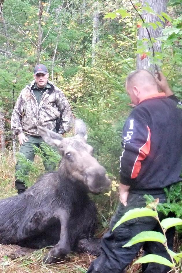 North Woods Law: On the Hunt