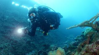 Ghosts of the Pacific