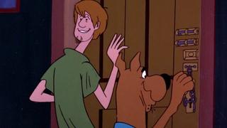 Make a Beeline Away from That Feline or Who Was That Cat Creature I Saw You with Last Night