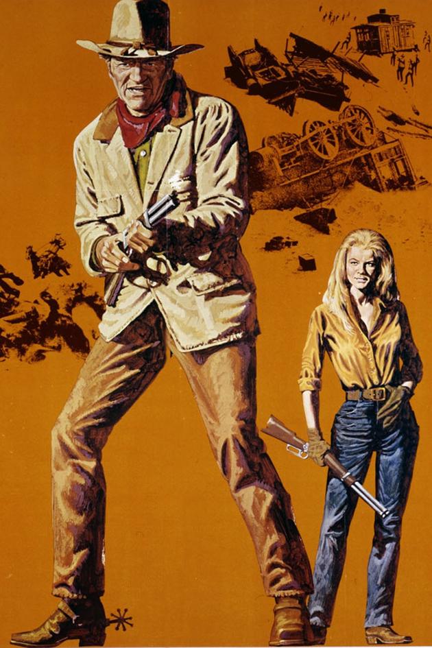 The Train Robbers