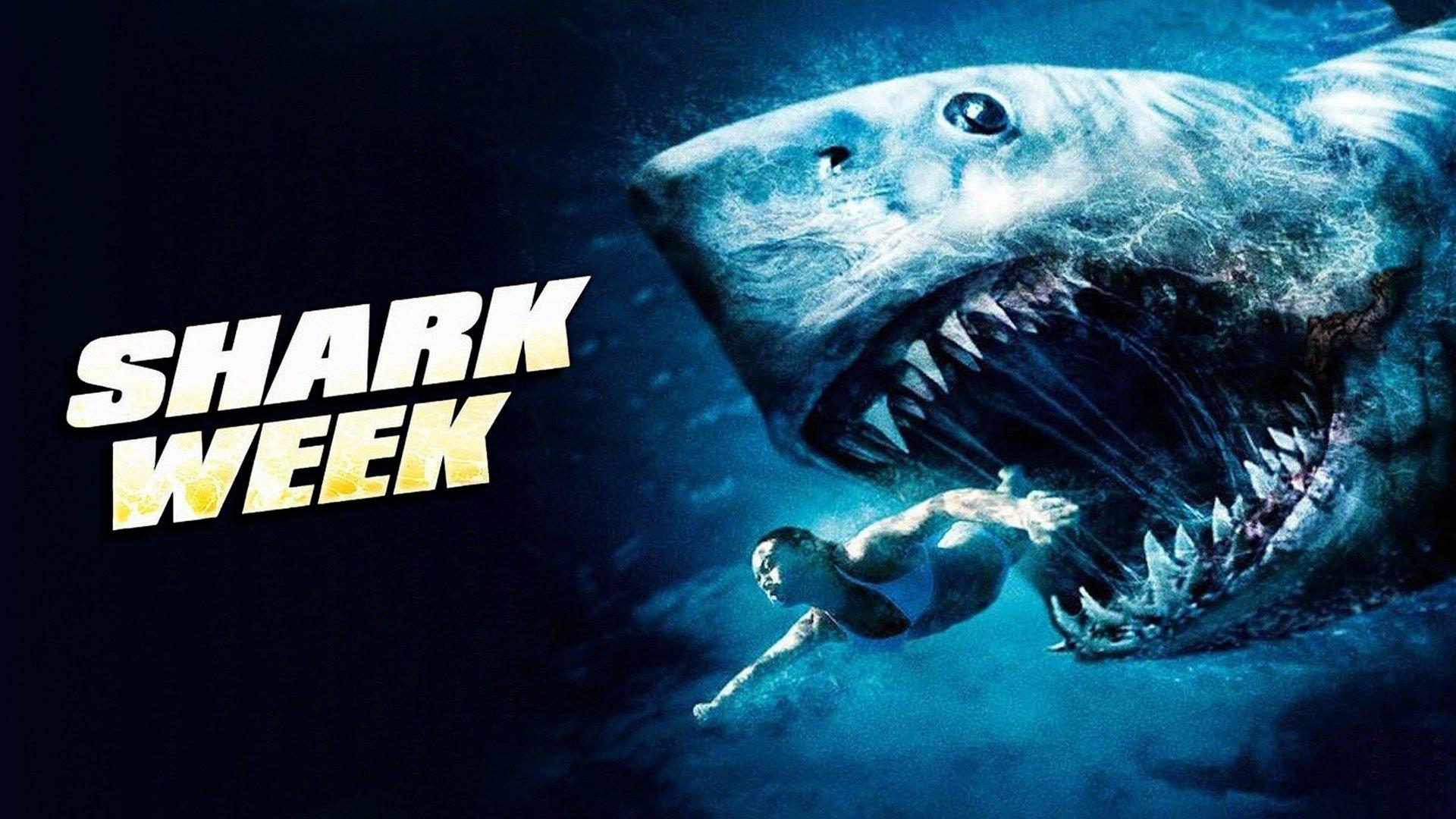 Watch Shark Week Streaming Online on Philo (Free Trial)