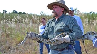 Hats; Longest Road Tunnel; Snake Catcher