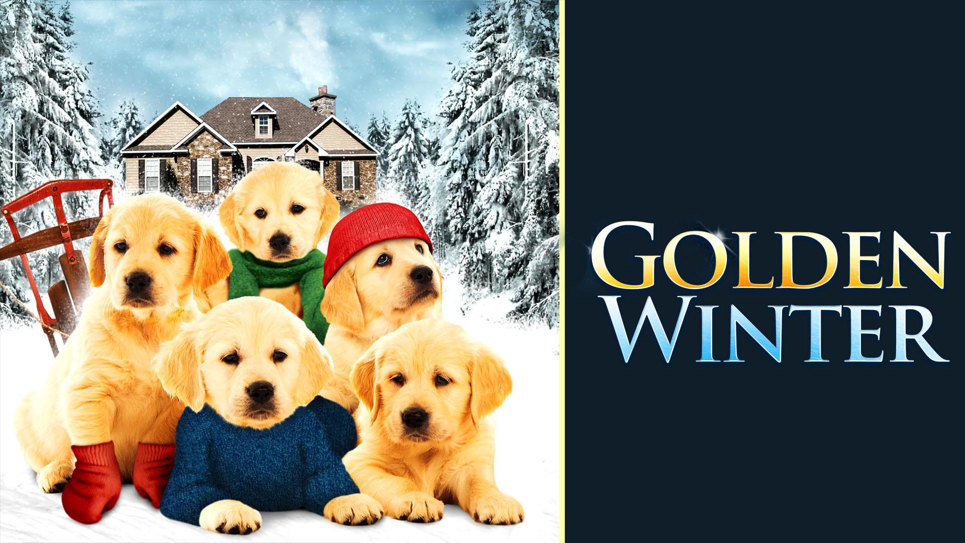 Watch Golden Winter Streaming Online on Philo (Free Trial)