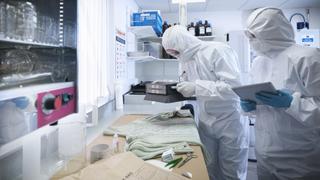 Scania Trucks; Miracle Forensics; Gouda
