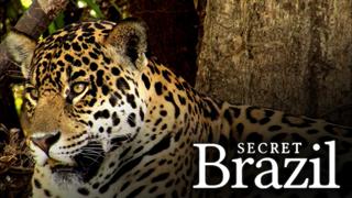 Secret Brazil