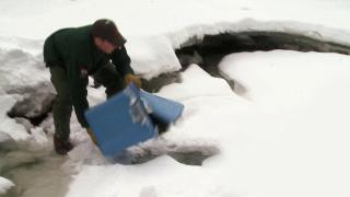 On Thin Ice