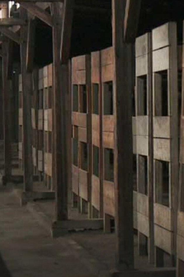 The Ghosts of the Third Reich