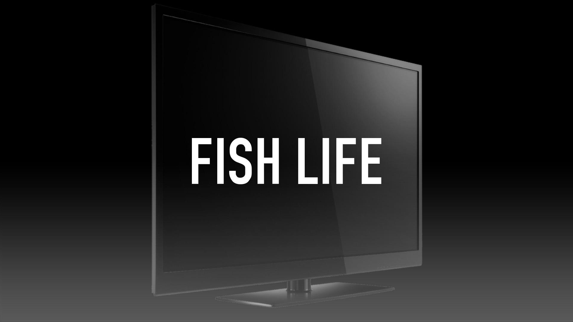 Watch Fish Life Streaming Online on Philo (Free Trial)