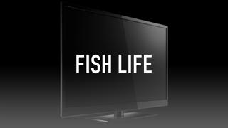 Fish Life