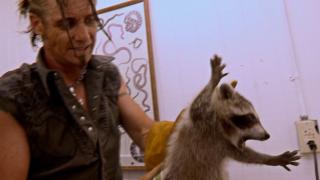 Raccoon Cage Match