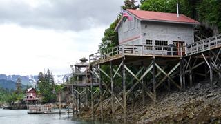 Seldovia Fishing Paradise