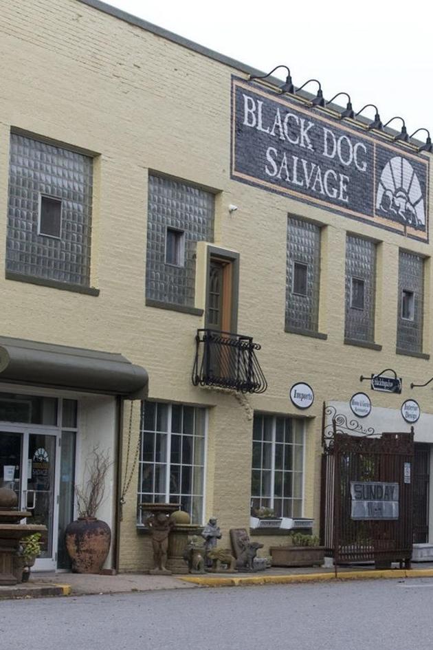 Salvage Dawgs