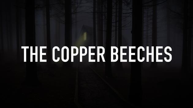 The Copper Beeches