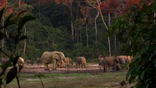 Congo