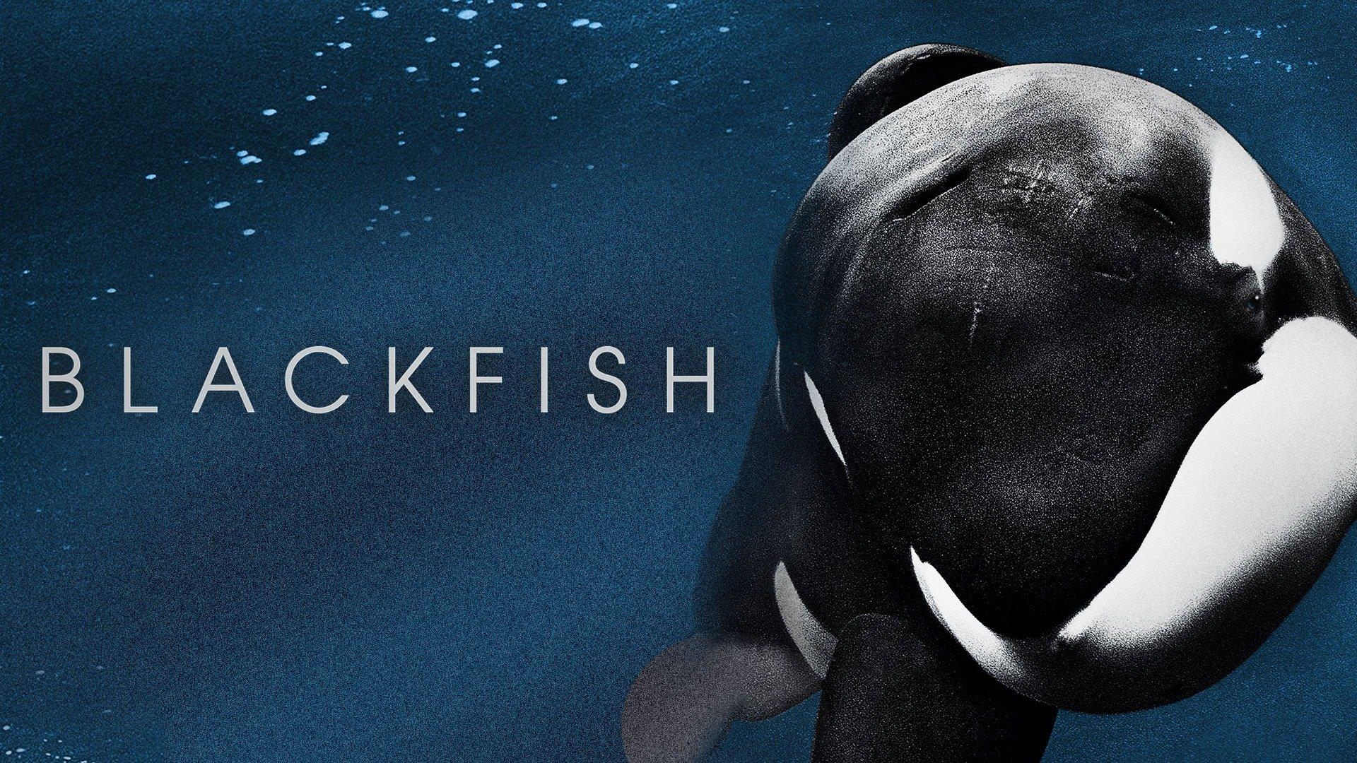 Watch Blackfish Streaming Online on Philo (Free Trial)