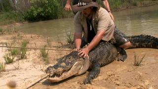 Gator Boys