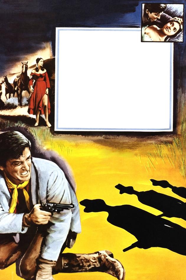 Gunmen From Laredo