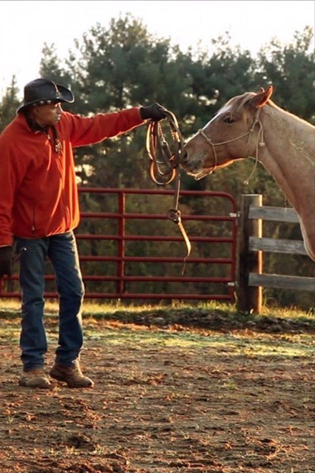 Saving the Mustang: North America's Horse on the Brink