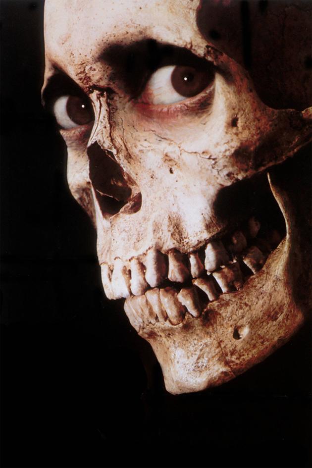 Evil Dead II