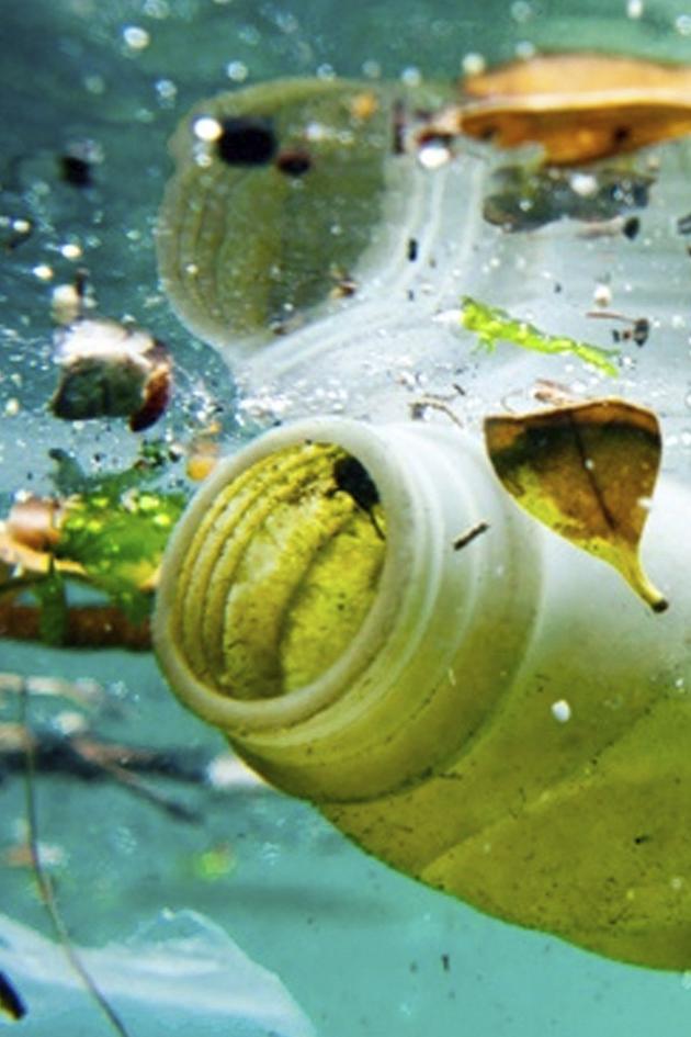 Plastic: the Real Sea Monster