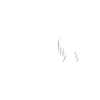 4UV