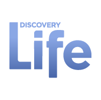 Discovery Life Discovery Life