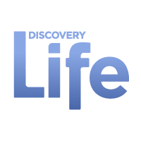 Discovery Life