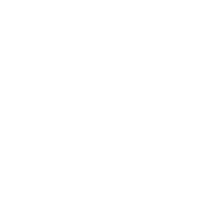 MTV Live