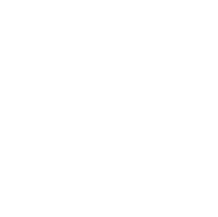 Vevo Features